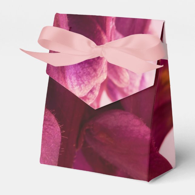Caja Para Regalos Aquilegia rosa borgoña (Front Side)
