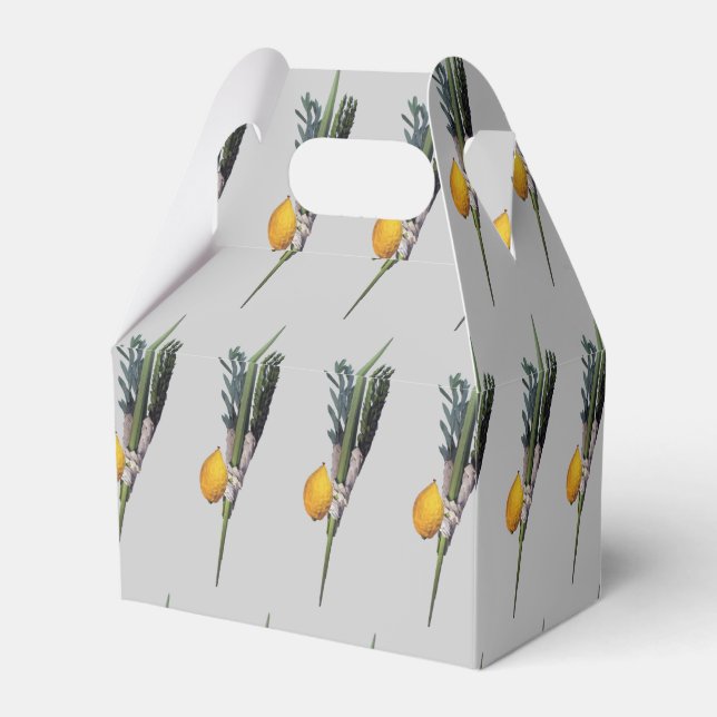 Caja Para Regalos Arba Minim - Lulav, Esrog, Hadas y Aravah (Reverso)