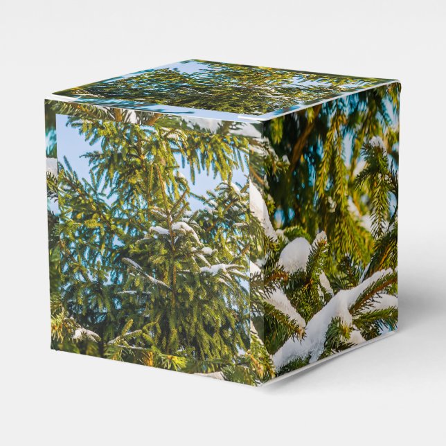 Caja Para Regalos Árbol de Navidad Verde en Nieve (Costado Anverso)