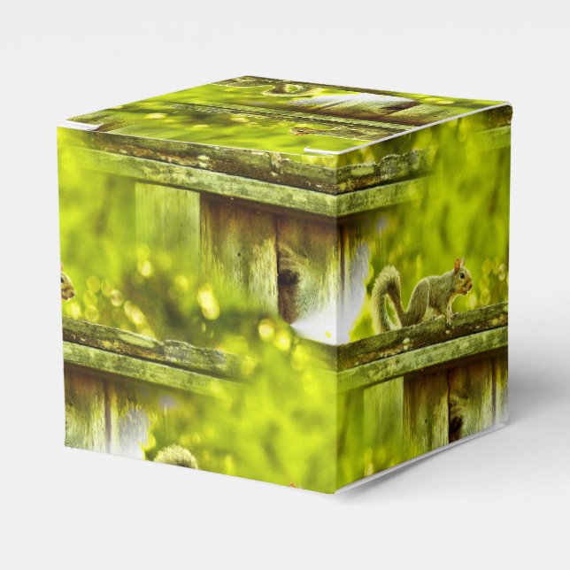 Caja Para Regalos Ardilla (Costado Anverso)