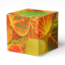 Aspen Deja Collage Sólido Medley 1