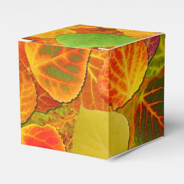 Caja Para Regalos Aspen Deja Collage Sólido Medley 1 (Costado Anverso)