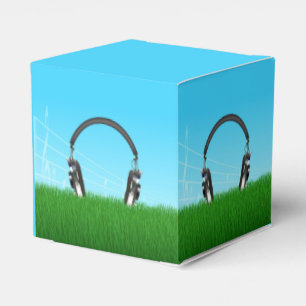 Caja Para Regalos Auriculares