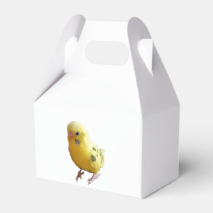 Caja Para Regalos Ave Mascota amigable de paracaídas amarillo lindo.