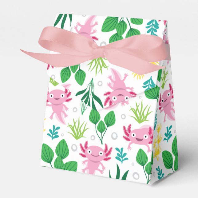 Caja Para Regalos Axolotl (Front Side)