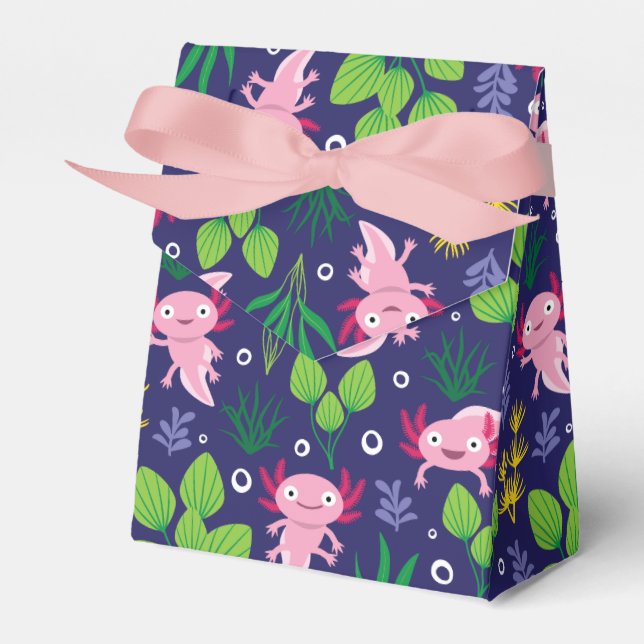 Caja Para Regalos Axolotl (Front Side)