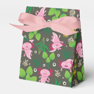 Caja Para Regalos Axolotl Favor Box
