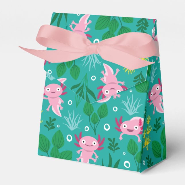 Caja Para Regalos Axolotl Favor Box (Front Side)