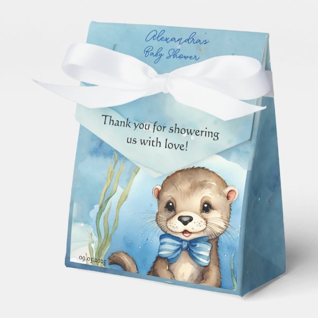 Caja Para Regalos Baby Otter Boy Baby Shower (Front Side)