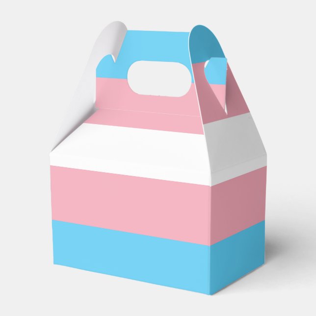 Caja Para Regalos Bandera Trans (Front Side)