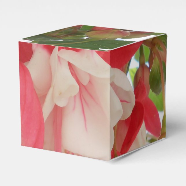 Caja Para Regalos Bashkirtseff (Costado Anverso)