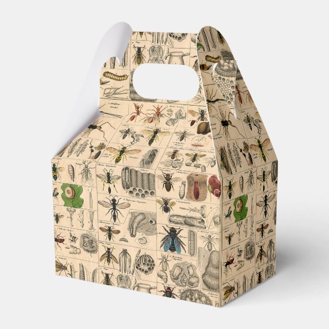 Caja Para Regalos Bee Insect Bug Wasp Abejas de Historia Natural (Front Side)