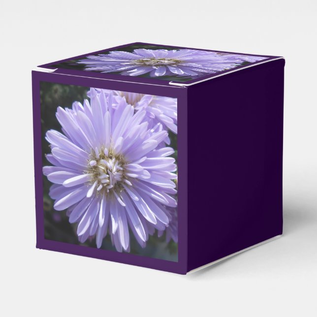 Caja Para Regalos Berlineta (Costado Anverso)