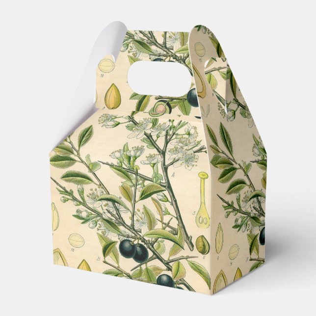 Caja Para Regalos Berry de flores antiguas de espinas negras (Front Side)