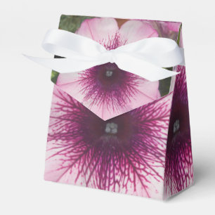 Caja Para Regalos Besos