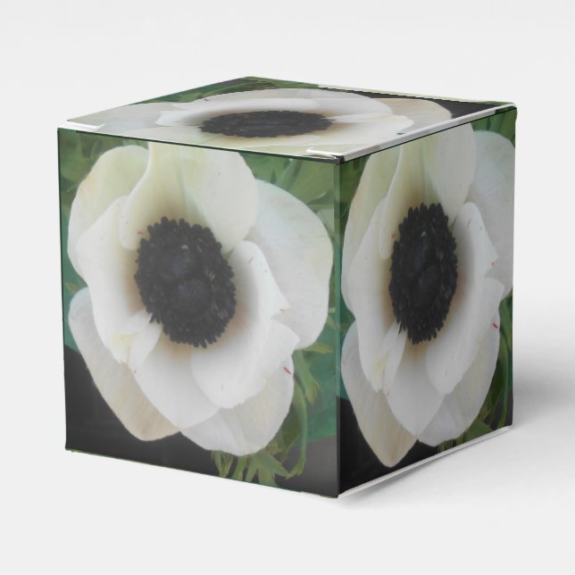Caja Para Regalos Blanchard (Costado Anverso)