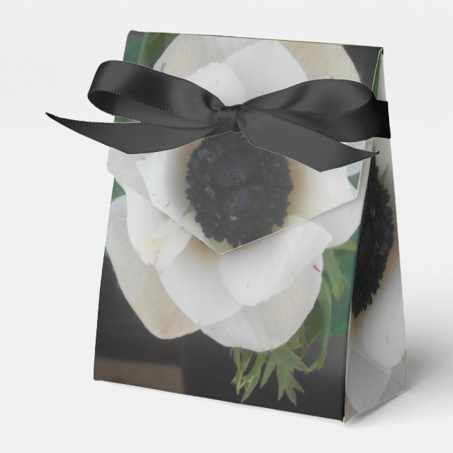 Caja Para Regalos Blanchard (Front Side)