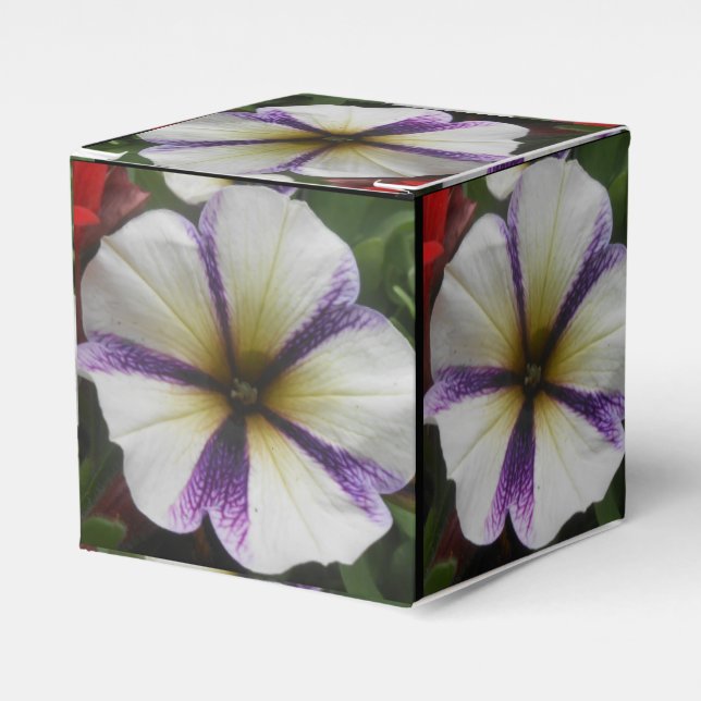 Caja Para Regalos Bonito (Costado Anverso)