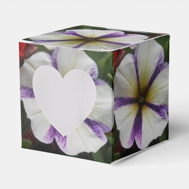 Caja Para Regalos Bonito (Anverso)