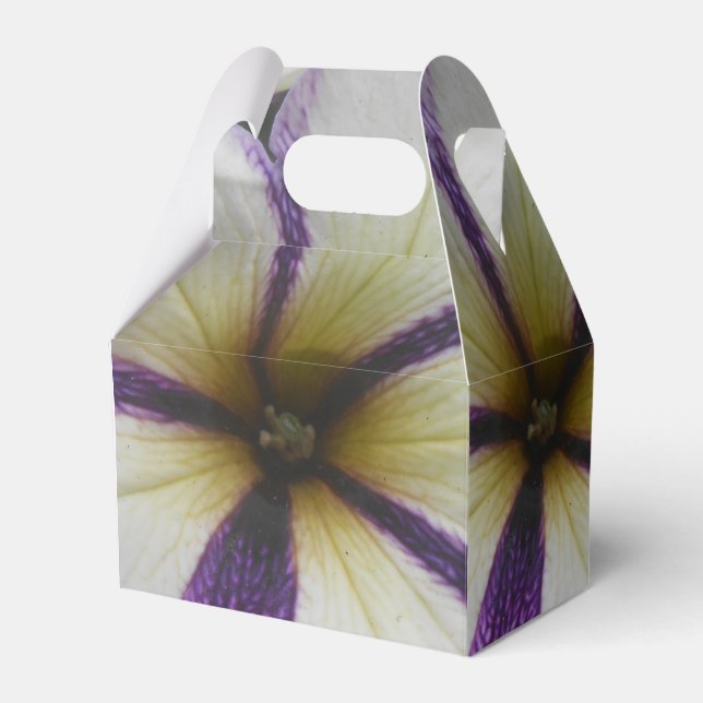 Caja Para Regalos Bonito (Front Side)