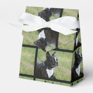 Caja Para Regalos Boston Terrier