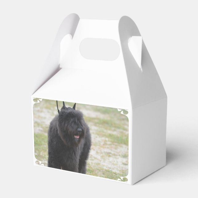 Caja Para Regalos Bouviers des Flanders (Front Side)