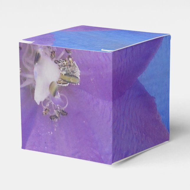 Caja Para Regalos Bowen (Costado Anverso)