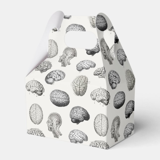 Caja Para Regalos Brain Anatomy Biology Illustrations (Front Side)