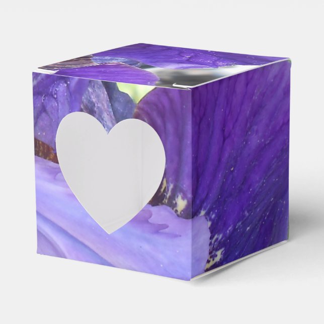 Caja Para Regalos Brandeis (Anverso)