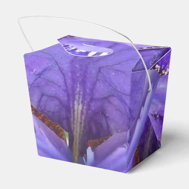 Caja Para Regalos Brandeis (Reverso)