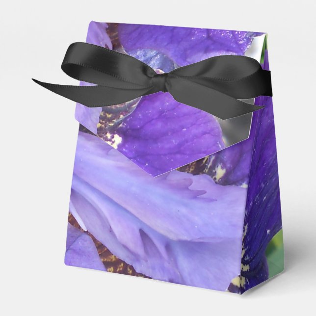 Caja Para Regalos Brandeis (Front Side)