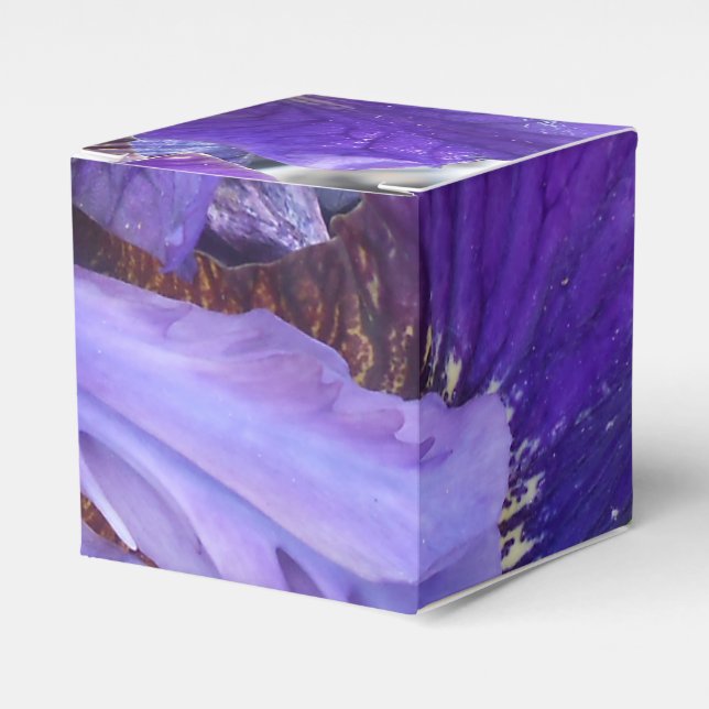 Caja Para Regalos Brandeis (Costado Anverso)