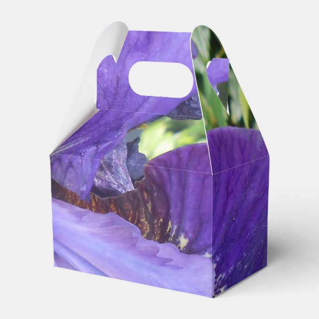 Caja Para Regalos Brandeis (Front Side)