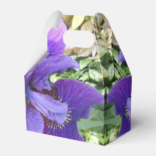 Caja Para Regalos Brandels (Front Side)