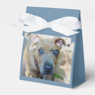 Caja Para Regalos Brindle Pit Bull con una foto de Shirley Taylor