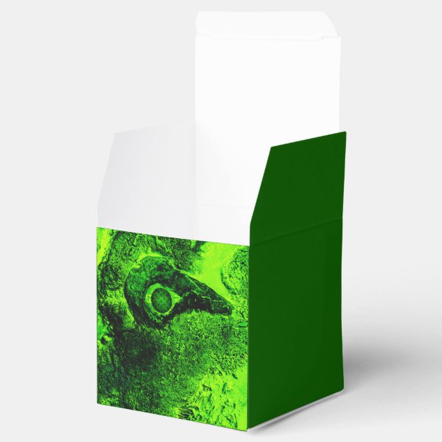 Caja Para Regalos buscando lo verde (Abierto)