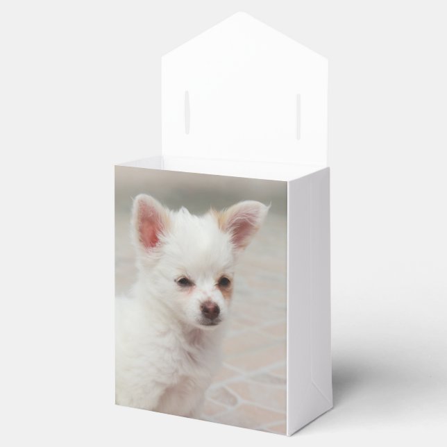Caja Para Regalos cachorro chihuahua en un jardín (Abierto)
