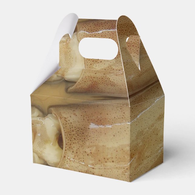 Caja Para Regalos Calamari (Front Side)