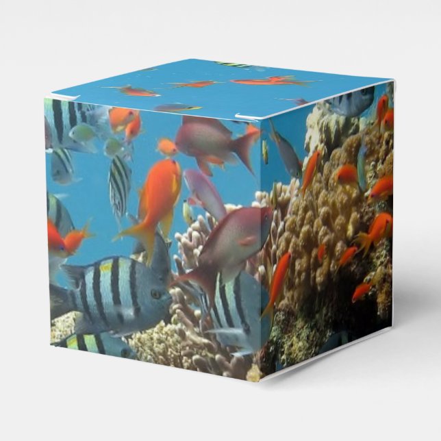 Caja Para Regalos Caos de peces tropicales (Costado Anverso)