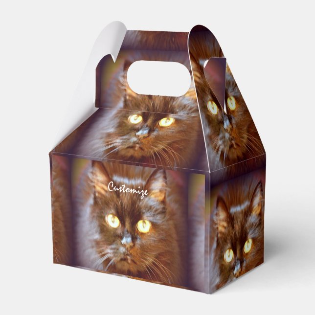 Caja Para Regalos cara de gato/cara de puño (Front Side)