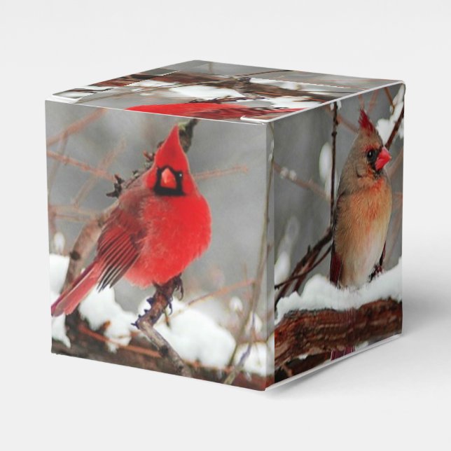 Caja Para Regalos cardenales masculinos y femeninos (Costado Anverso)