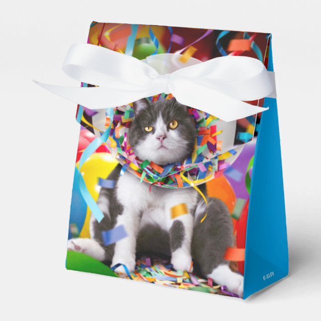 Caja Para Regalos Cat In Fiesta Cone (Front Side)