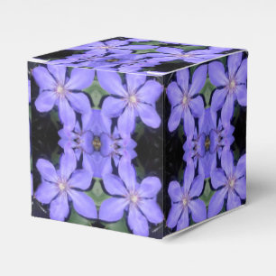 Caja Para Regalos Cé sarine