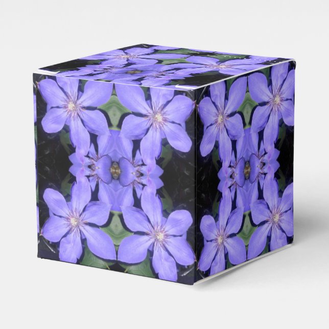 Caja Para Regalos Cé sarine (Costado Anverso)