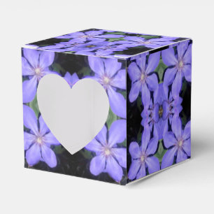Caja Para Regalos Cé sarine