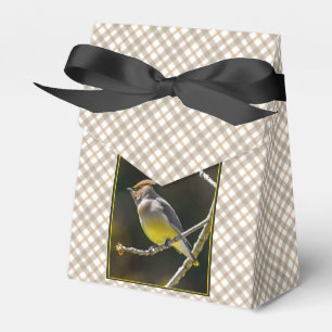 Caja Para Regalos Cedar Waxwing Songbird Foto original de ave silves