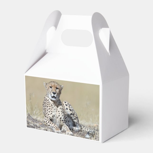 Caja Para Regalos Cheetah (Reverso)