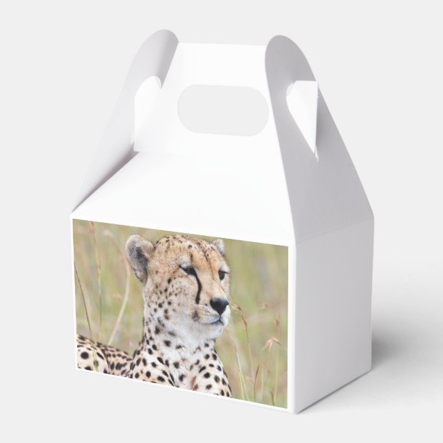 Caja Para Regalos Cheetah (Reverso)
