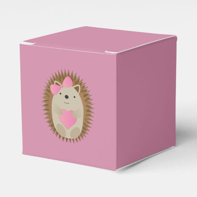 Caja Para Regalos Chica Cute Hedgehog (Costado Anverso)