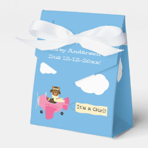 Caja Para Regalos Chica piloto de Osos de Teddy de color blanco